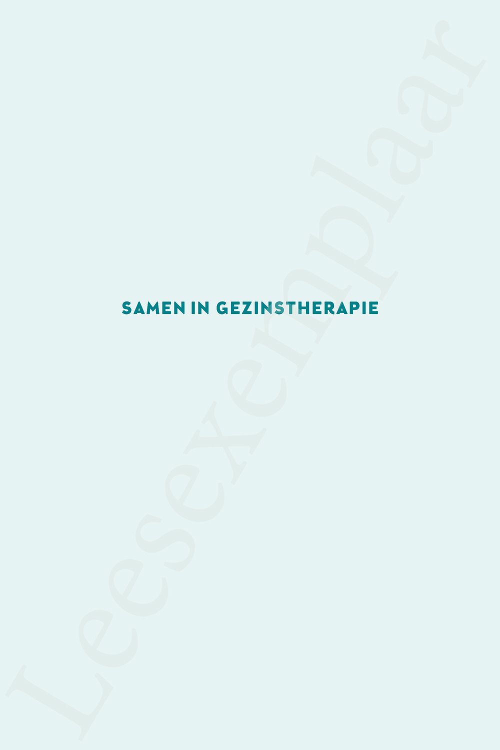 Preview: Samen in gezinstherapie