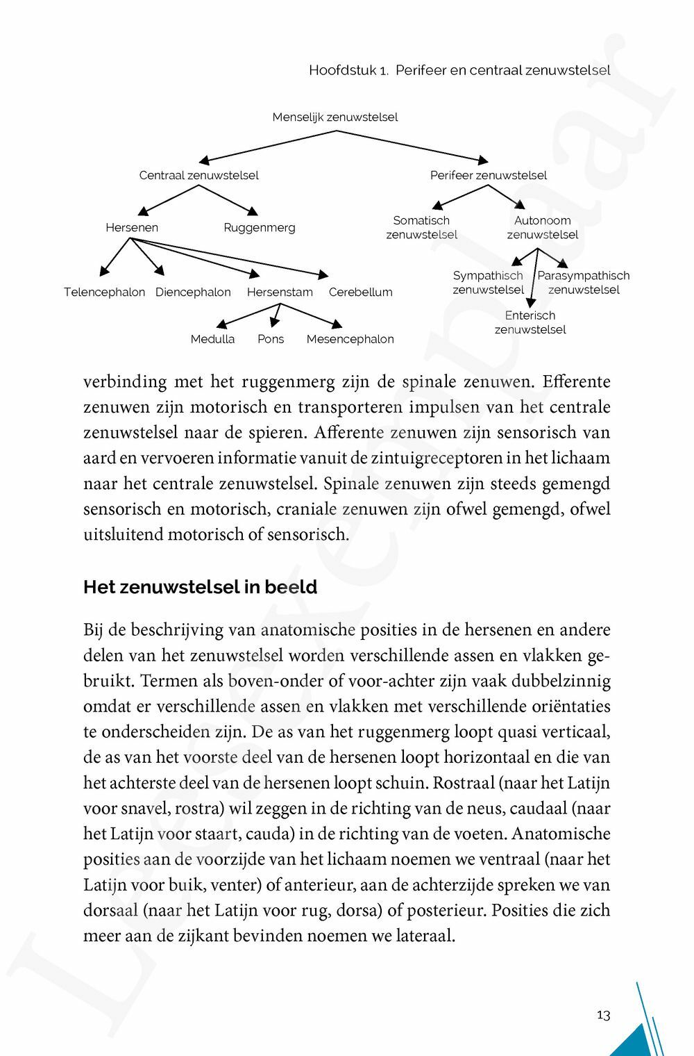 Preview: NEURO