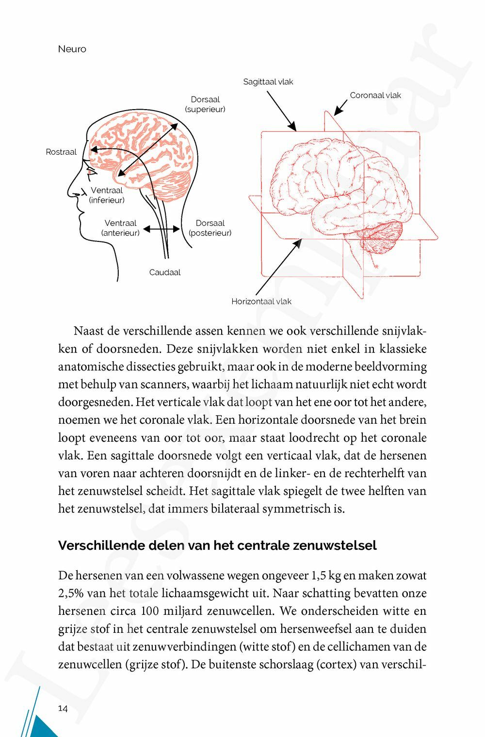 Preview: NEURO