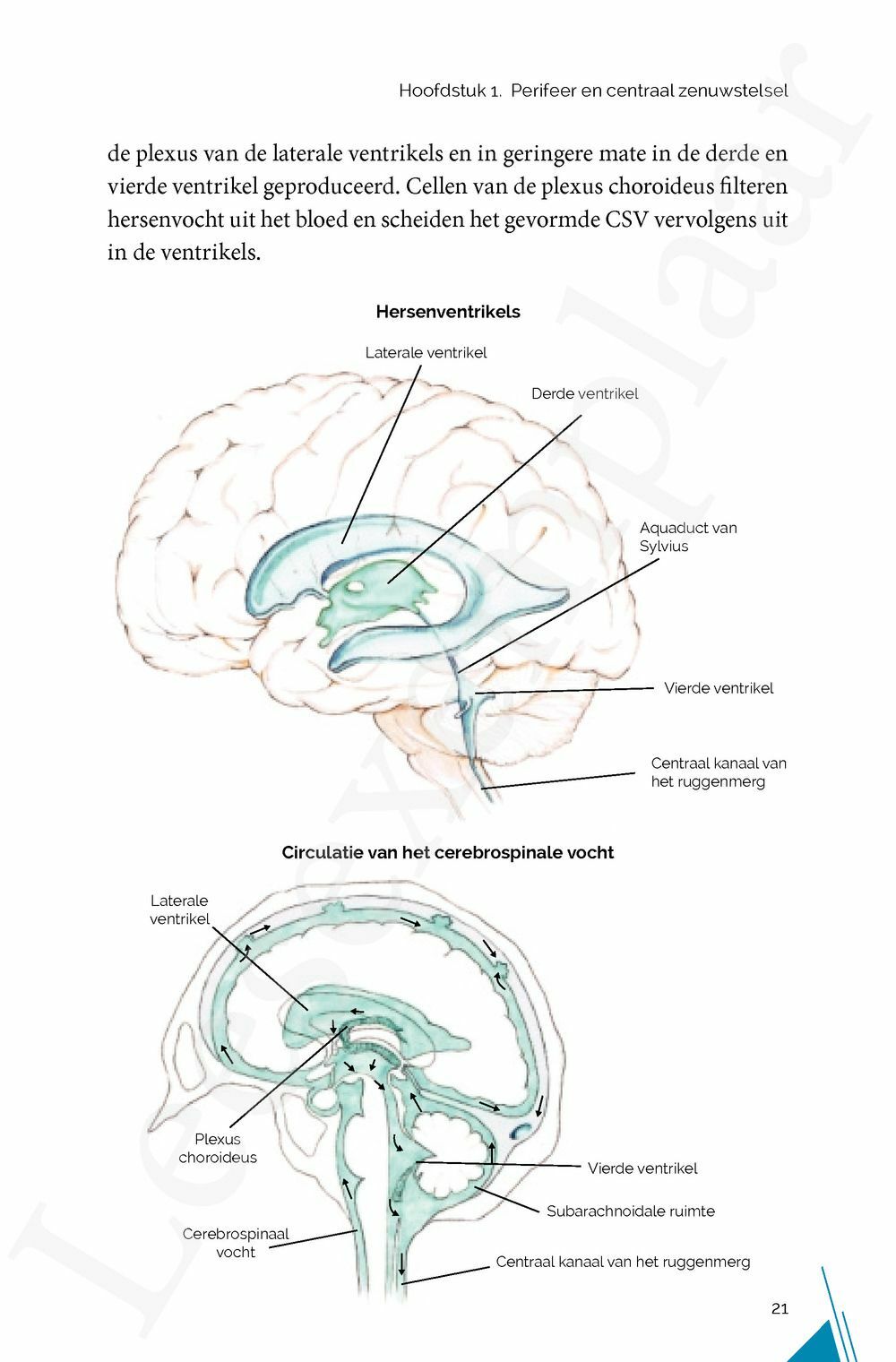 Preview: NEURO