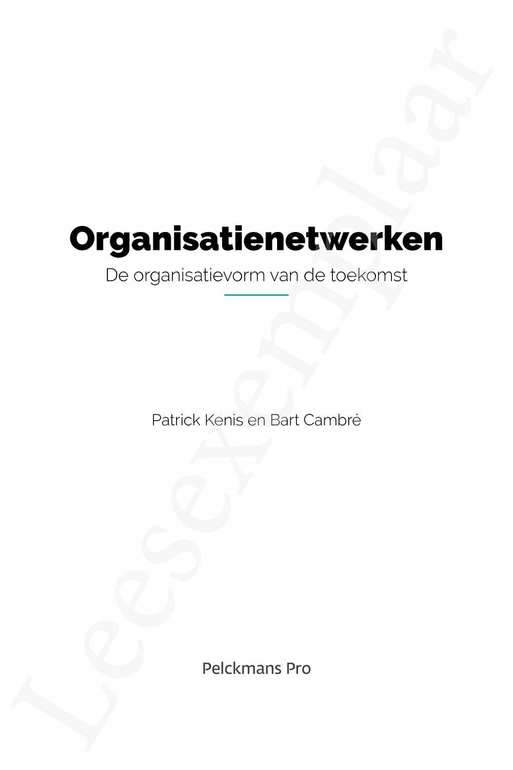 Preview: Organisatienetwerken