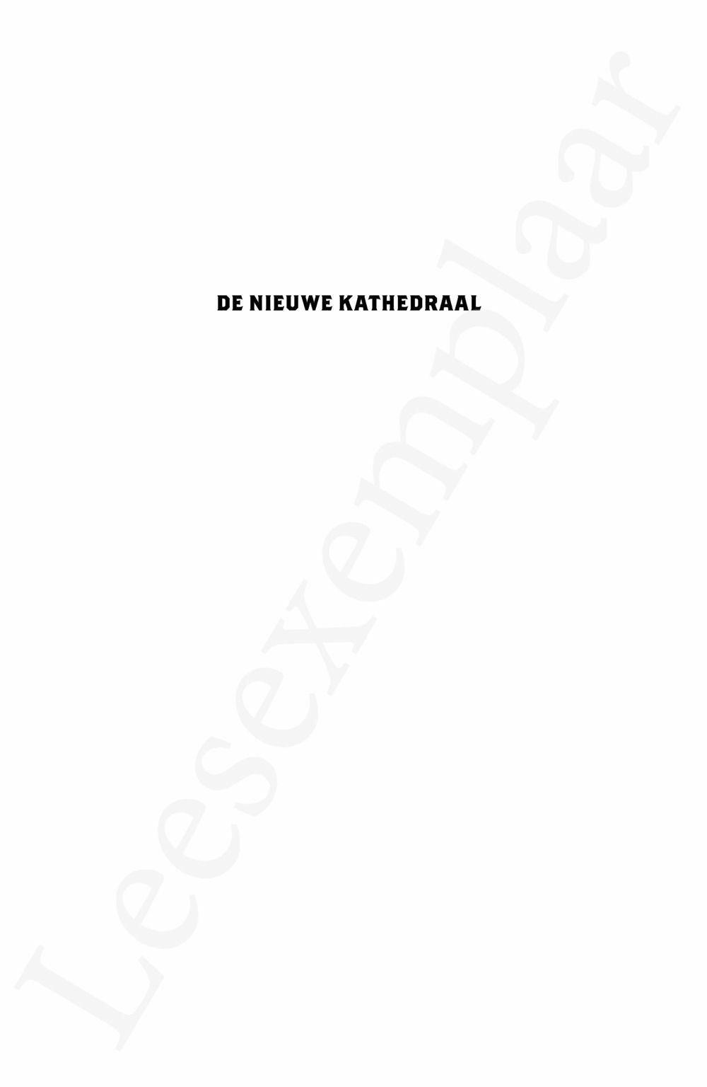 Preview: De nieuwe kathedraal