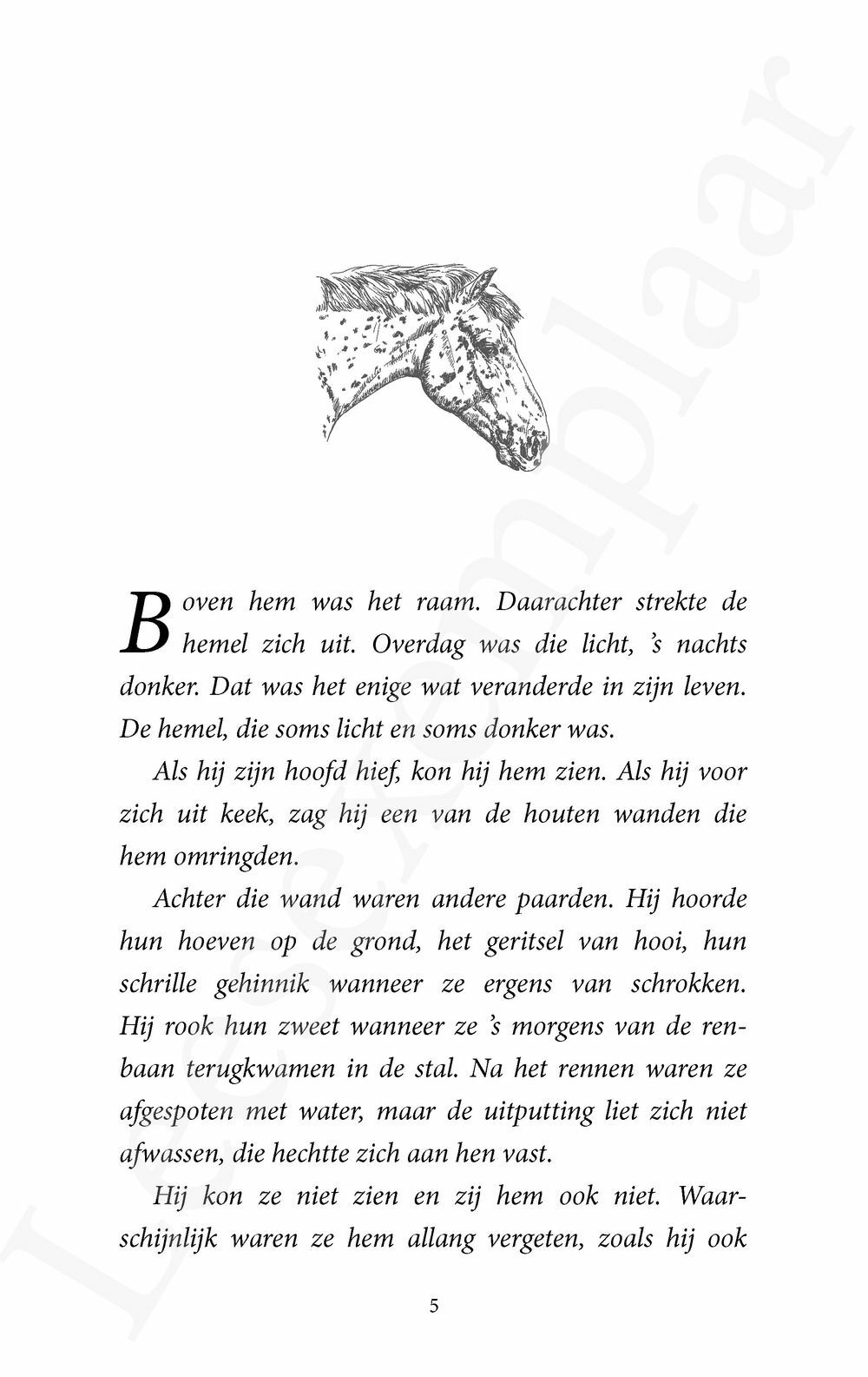 Preview: De Paardenfluisteraar 5 - Een stille droom