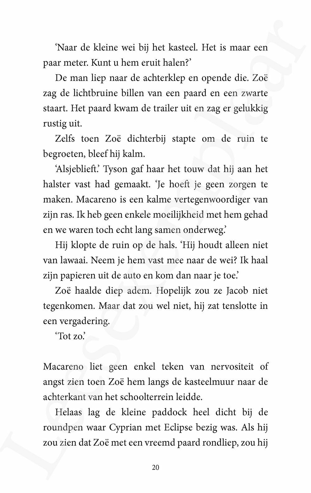Preview: De Paardenfluisteraar 6