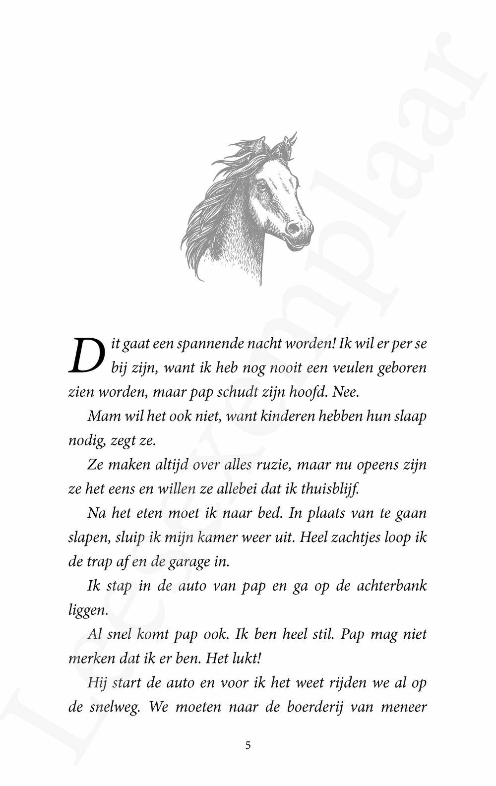 Preview: De Paardenfluisteraar 6