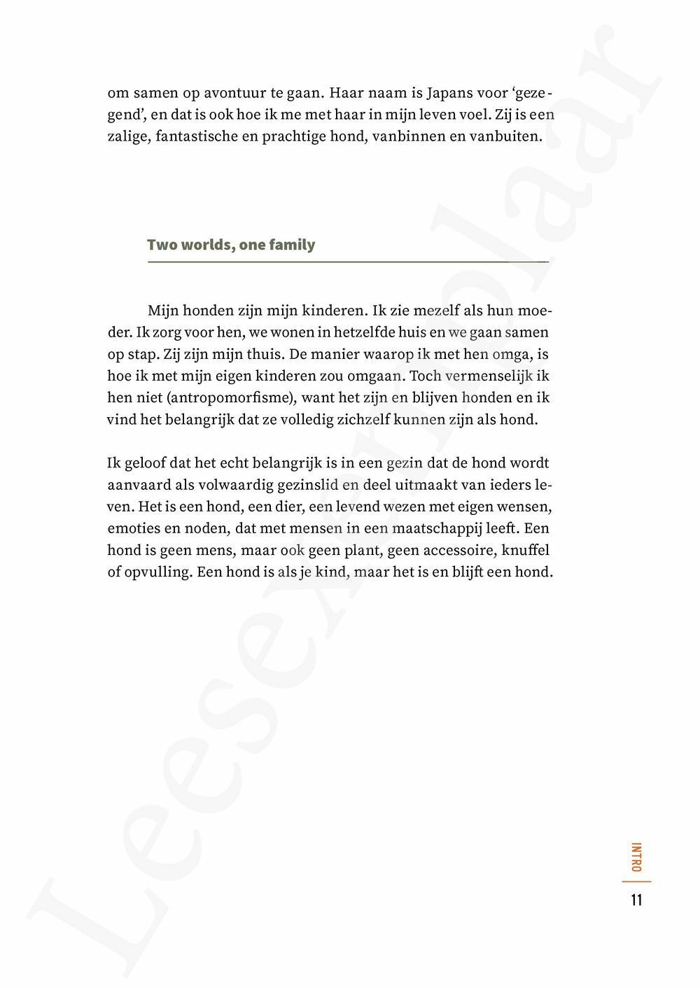Preview: Versterk de relatie met jouw hond