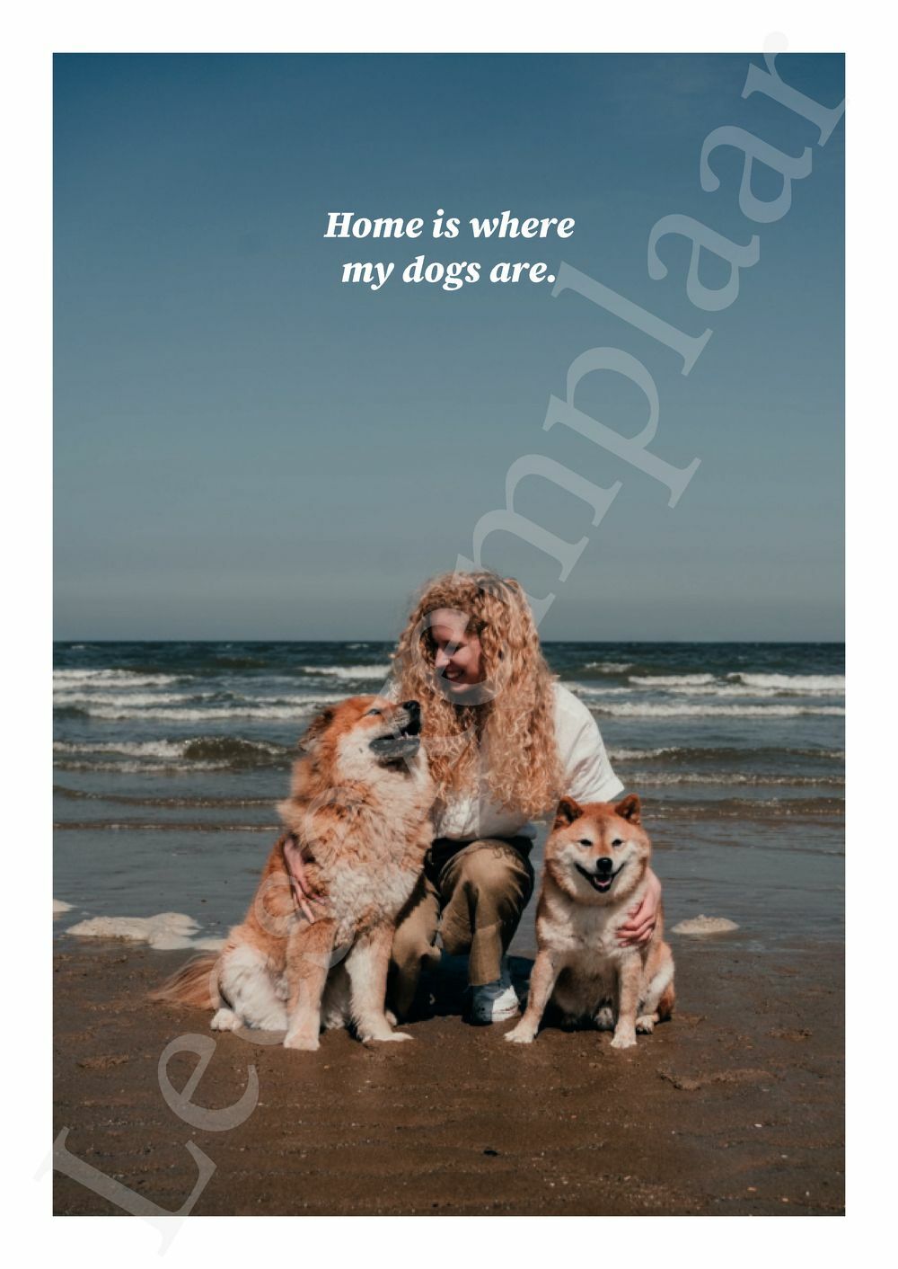 Preview: Versterk de relatie met jouw hond