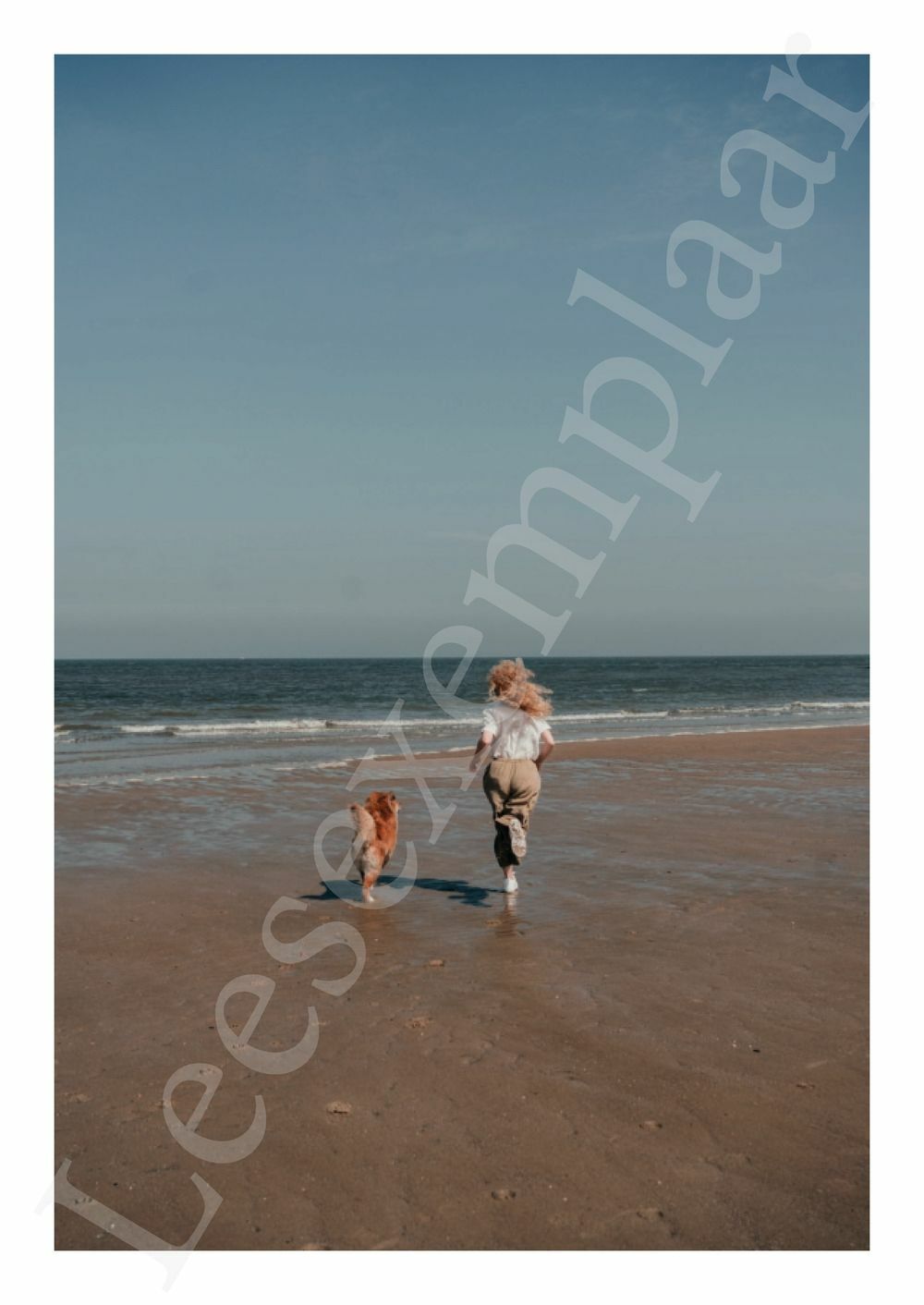 Preview: Versterk de relatie met jouw hond