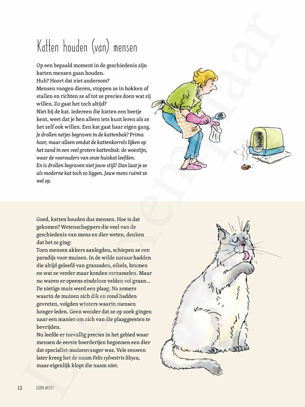 Preview: De Kat