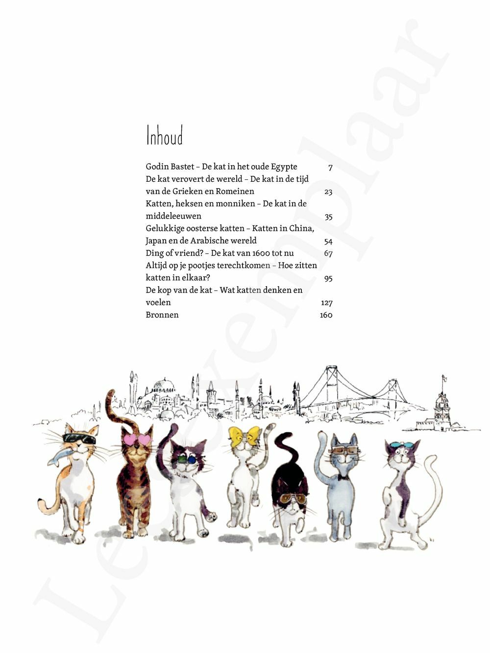 Preview: De Kat