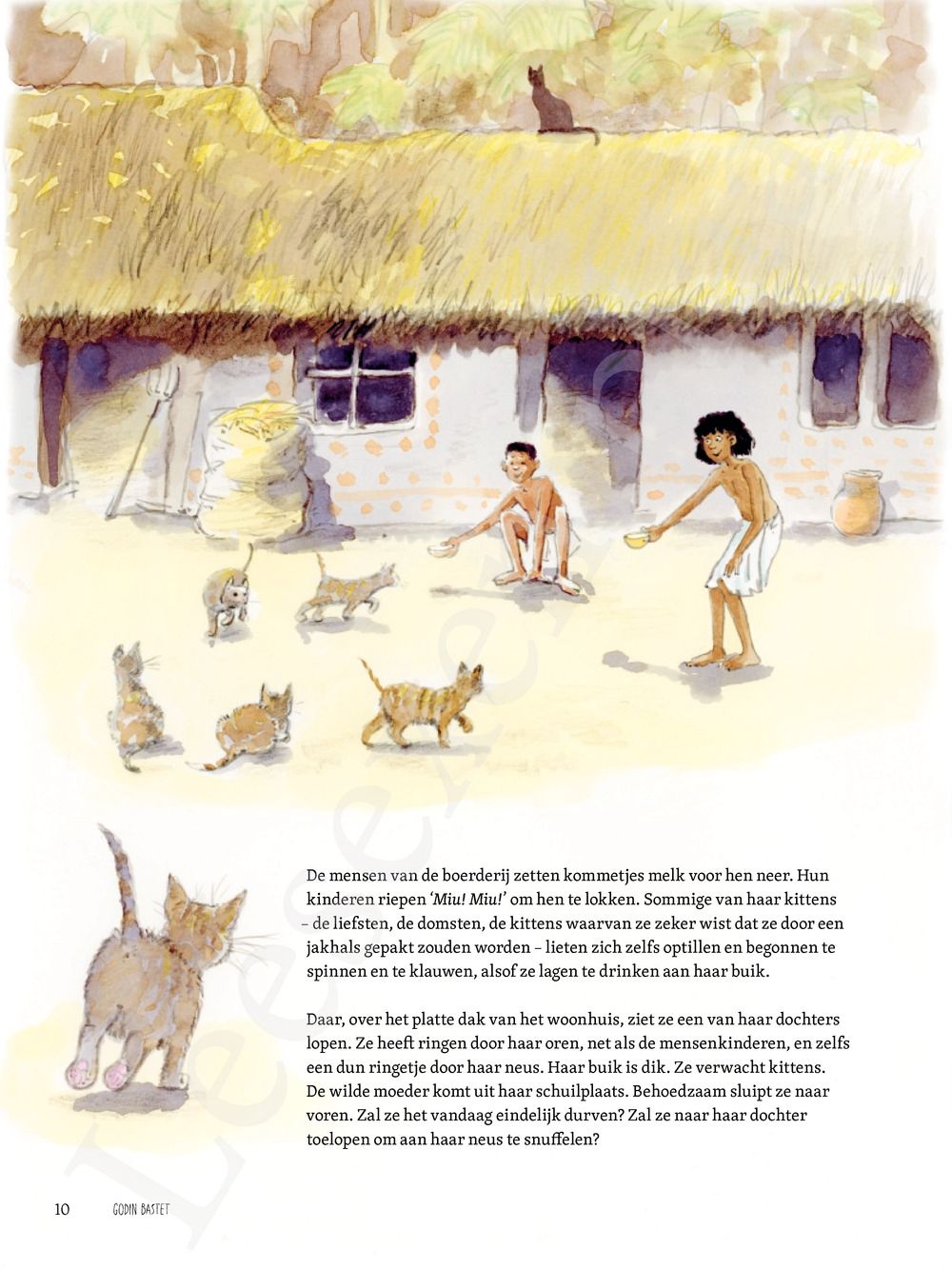 Preview: De Kat