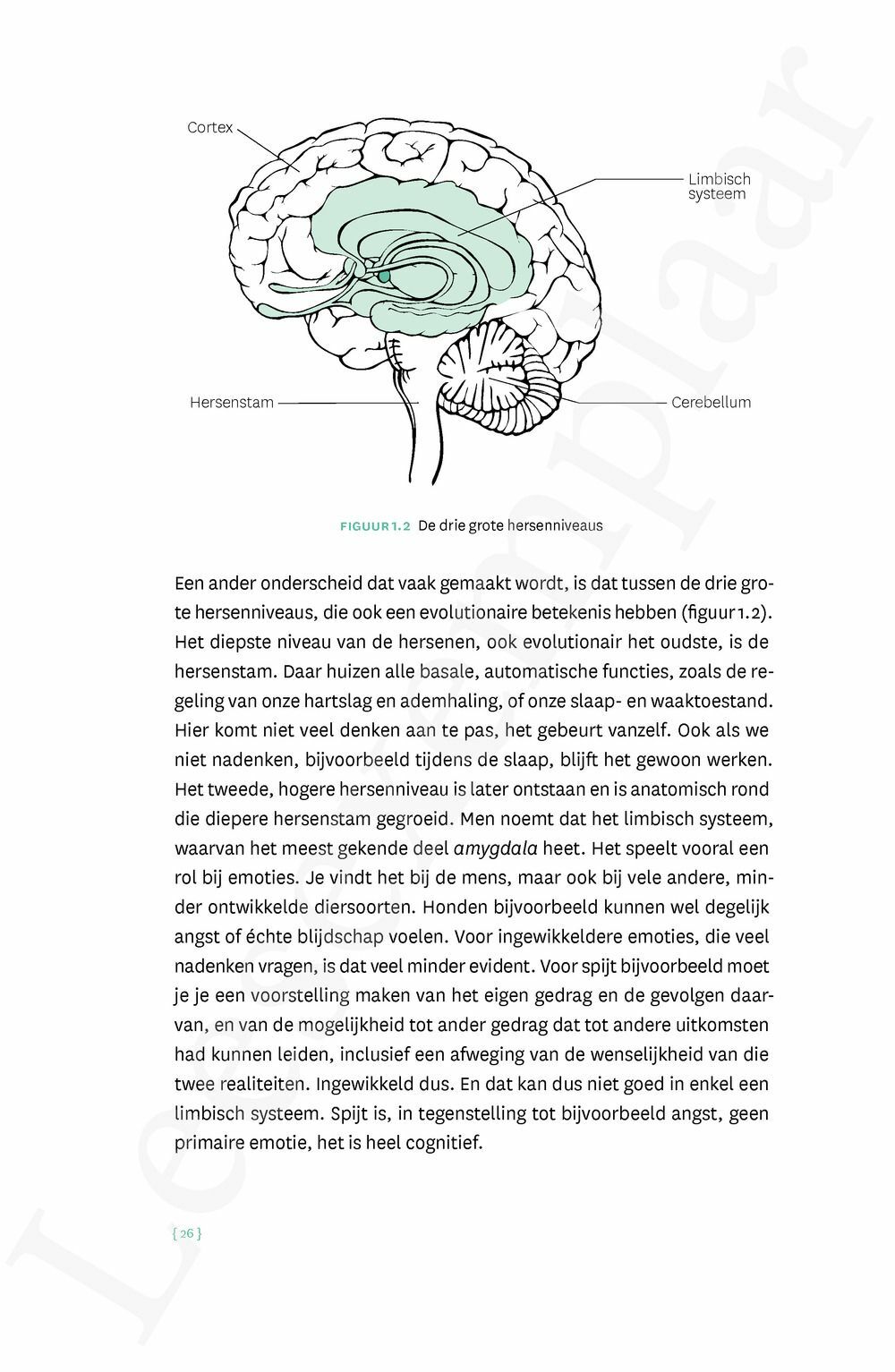 Preview: Mijn kind, slim kind