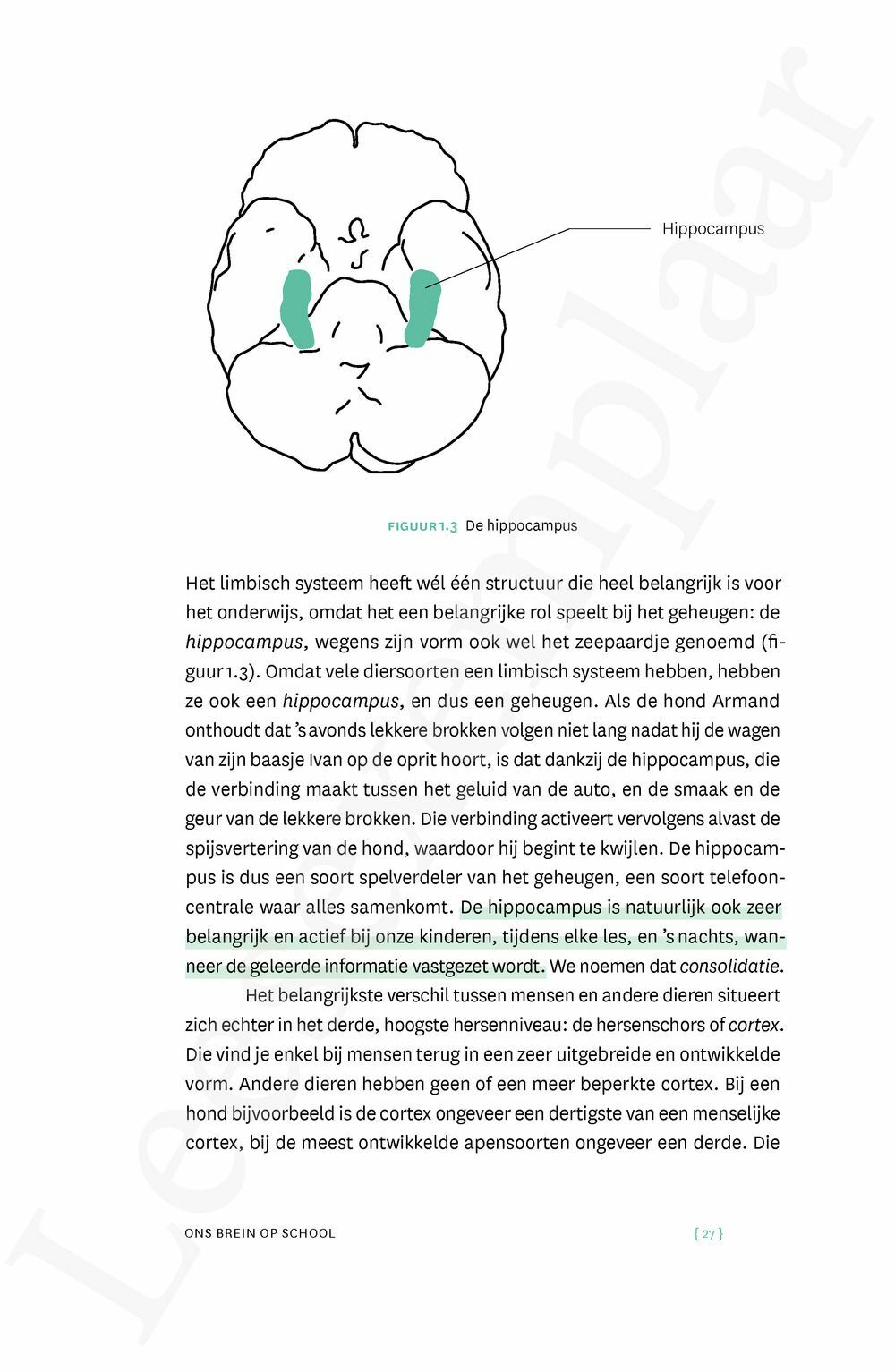 Preview: Mijn kind, slim kind