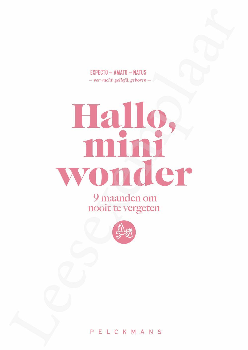 Preview: Hallo, miniwonder