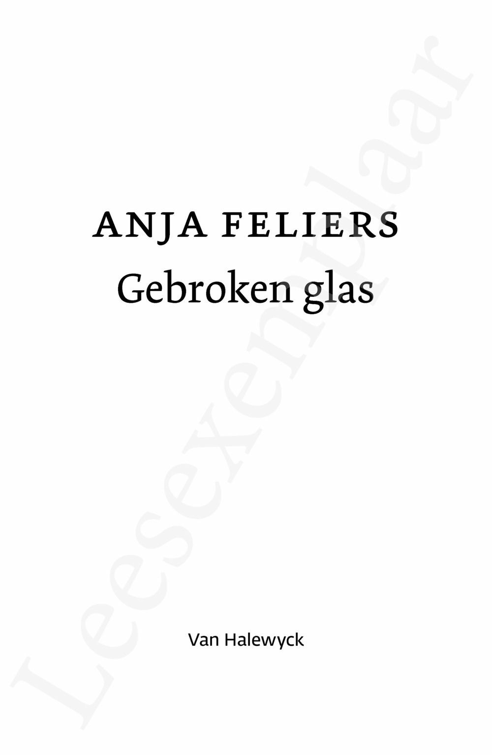 Preview: Gebroken glas