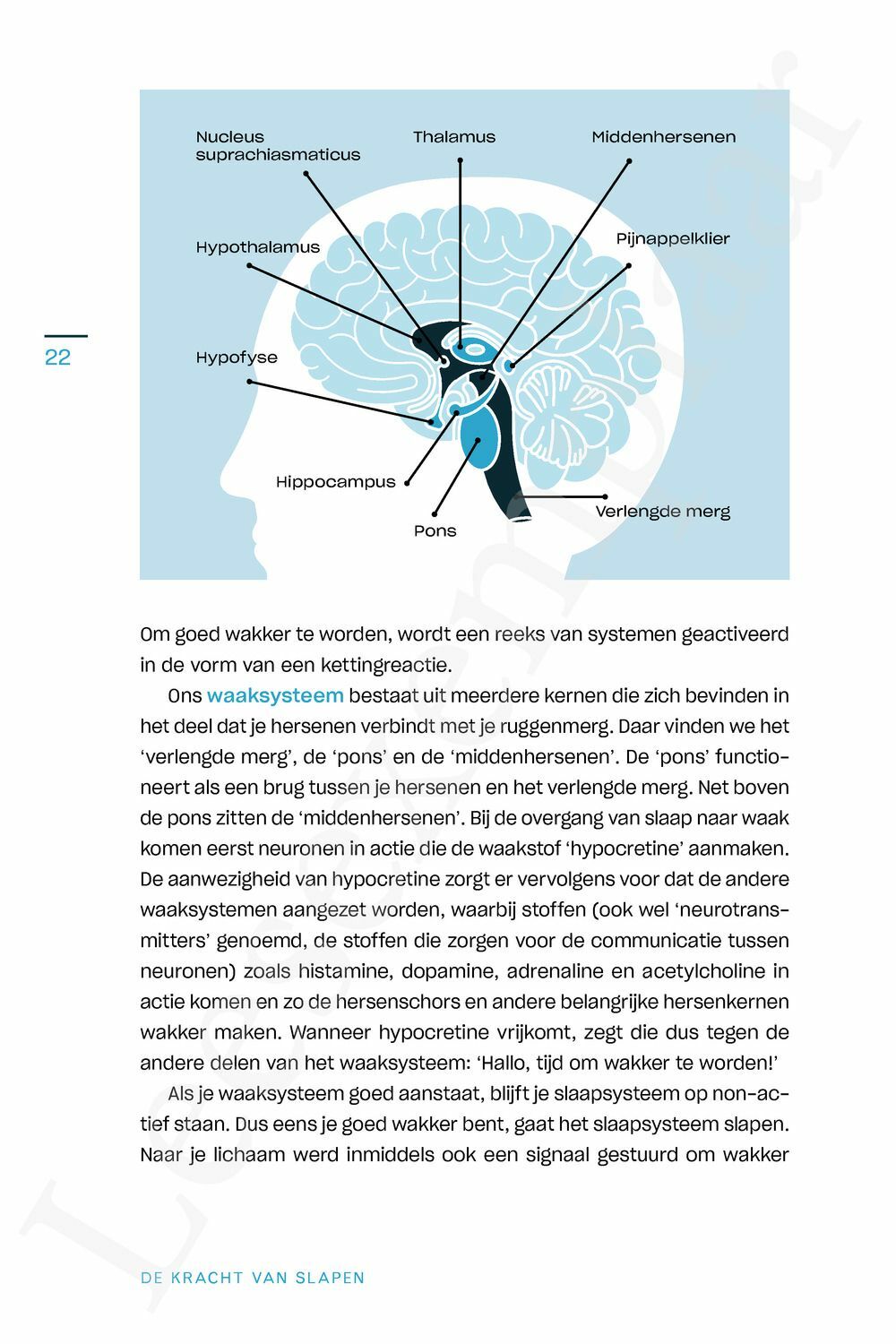 Preview: De kracht van slapen