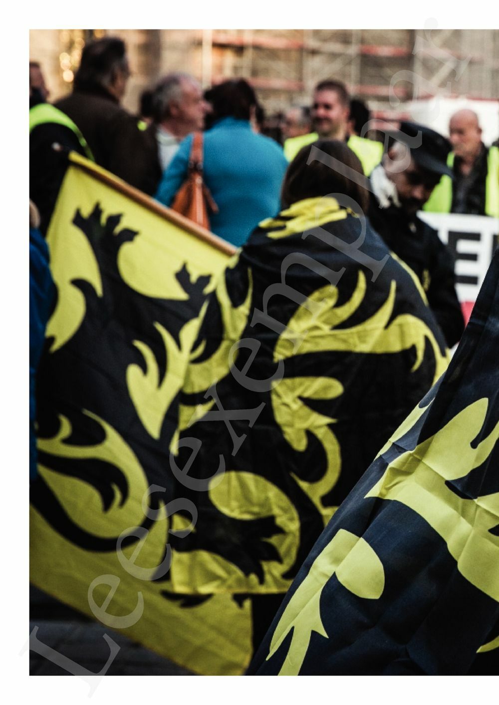 Preview: Achter het schild van extreemrechts