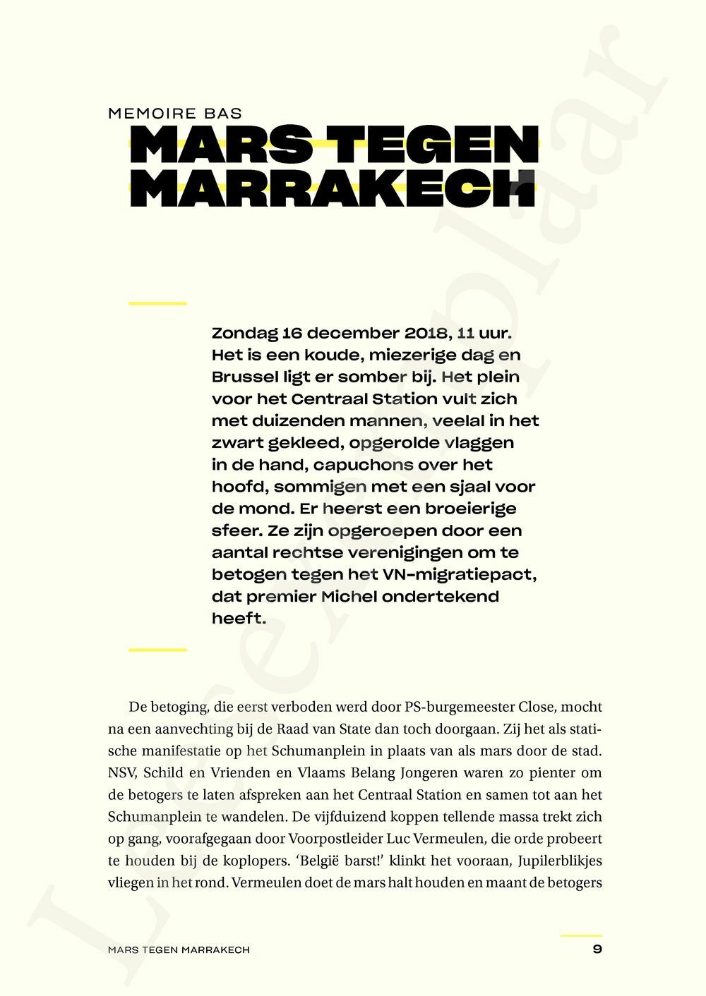 Preview: Achter het schild van extreemrechts