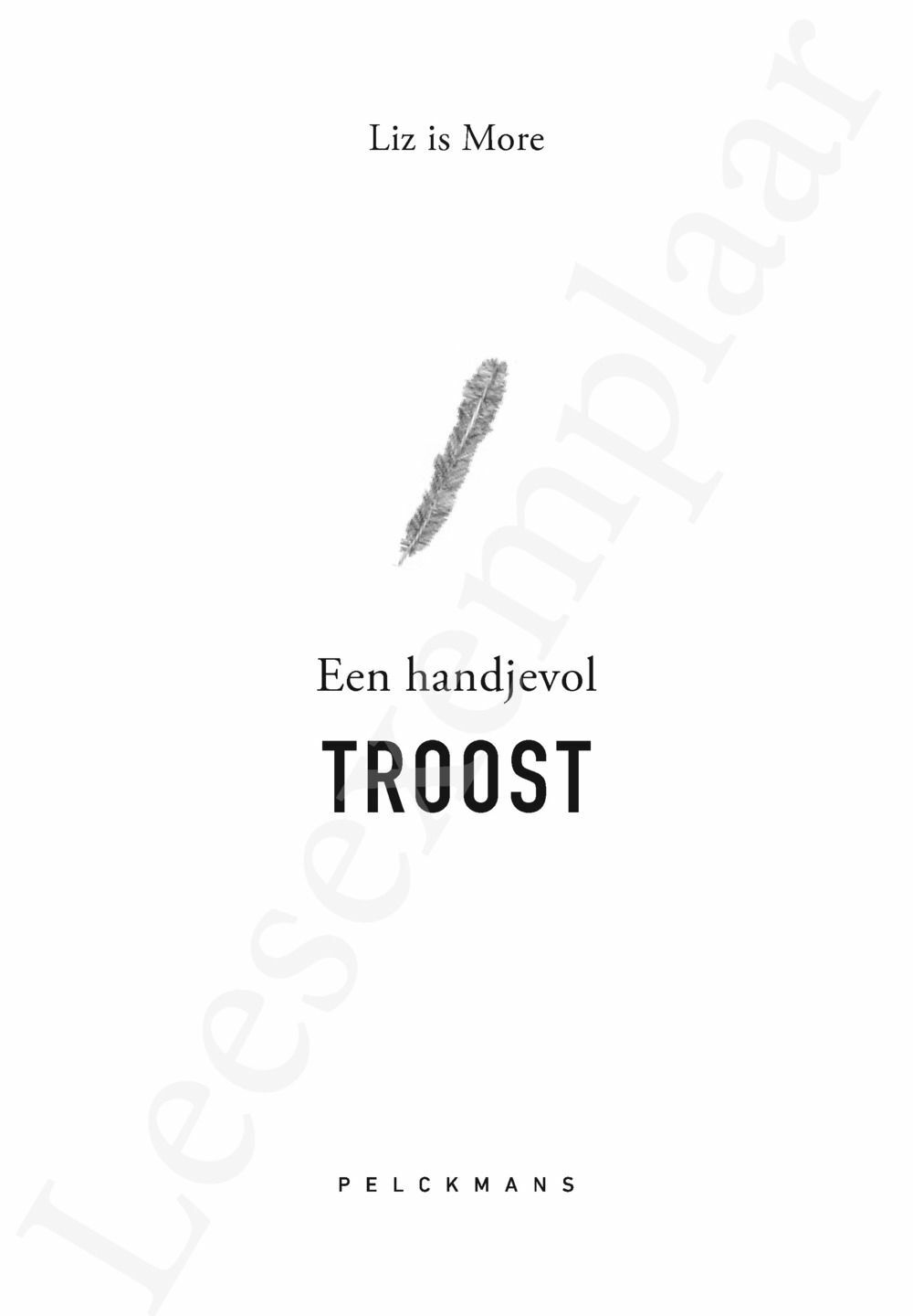 Preview: Een handjevol TROOST