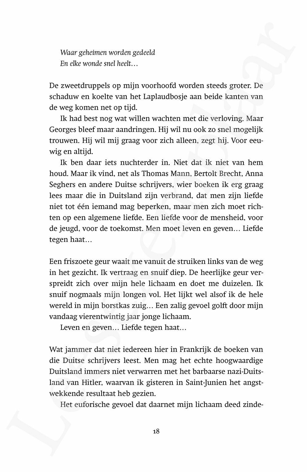 Preview: Het Dorp van de Zwaluwen