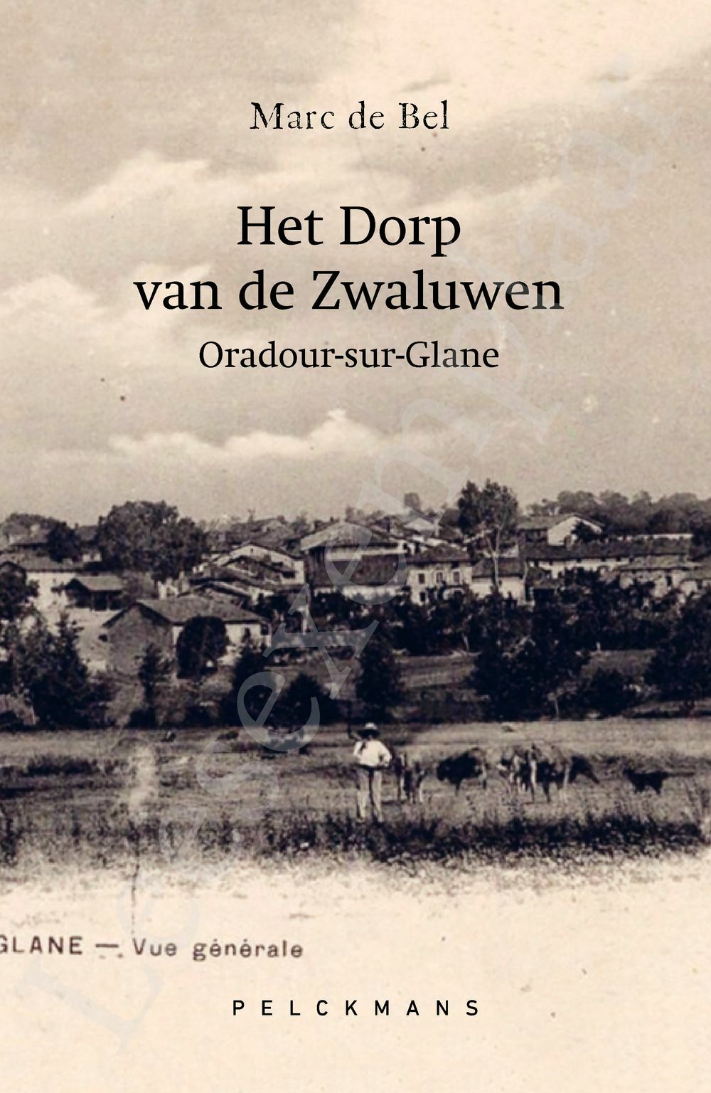 Preview: Het Dorp van de Zwaluwen