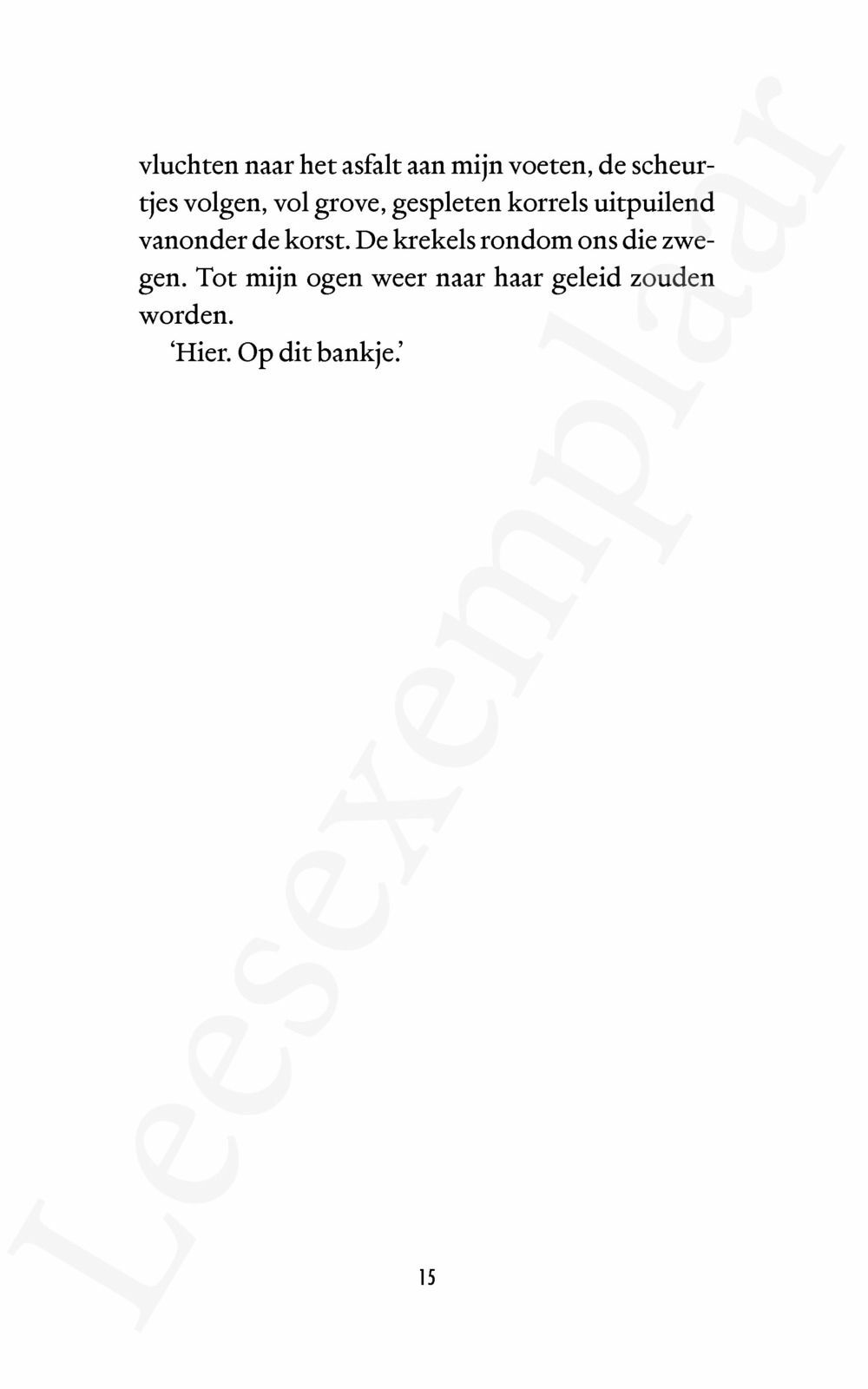 Preview: De zomer toen