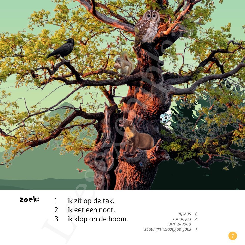 Preview: Ik weet, ik weet wat jij nog niet weet over... de dieren in het bos