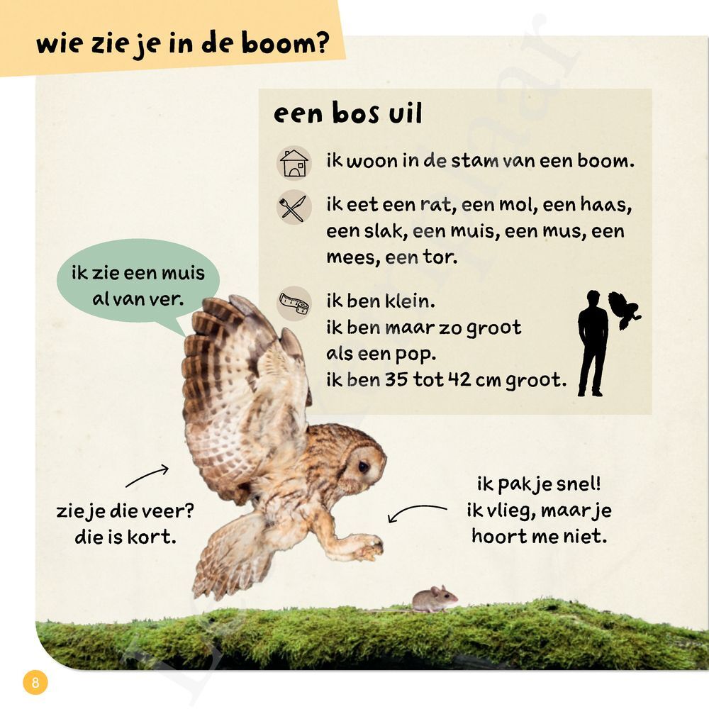 Preview: Ik weet, ik weet wat jij nog niet weet over... de dieren in het bos