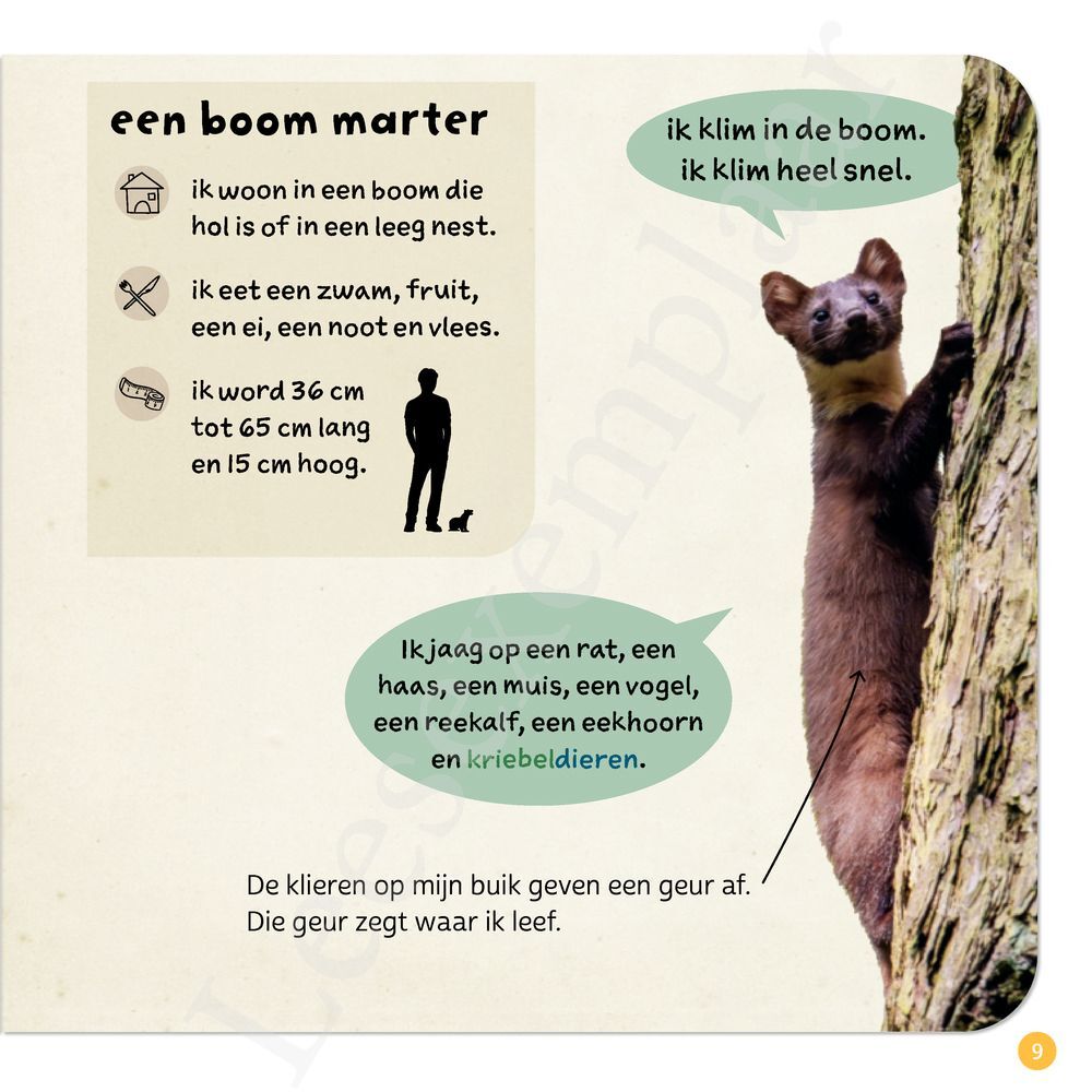 Preview: Ik weet, ik weet wat jij nog niet weet over... de dieren in het bos