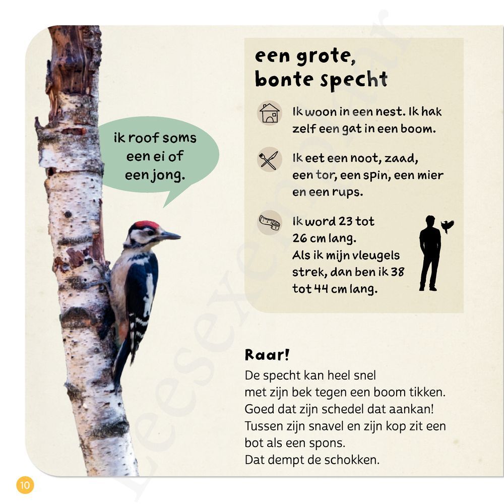 Preview: Ik weet, ik weet wat jij nog niet weet over... de dieren in het bos