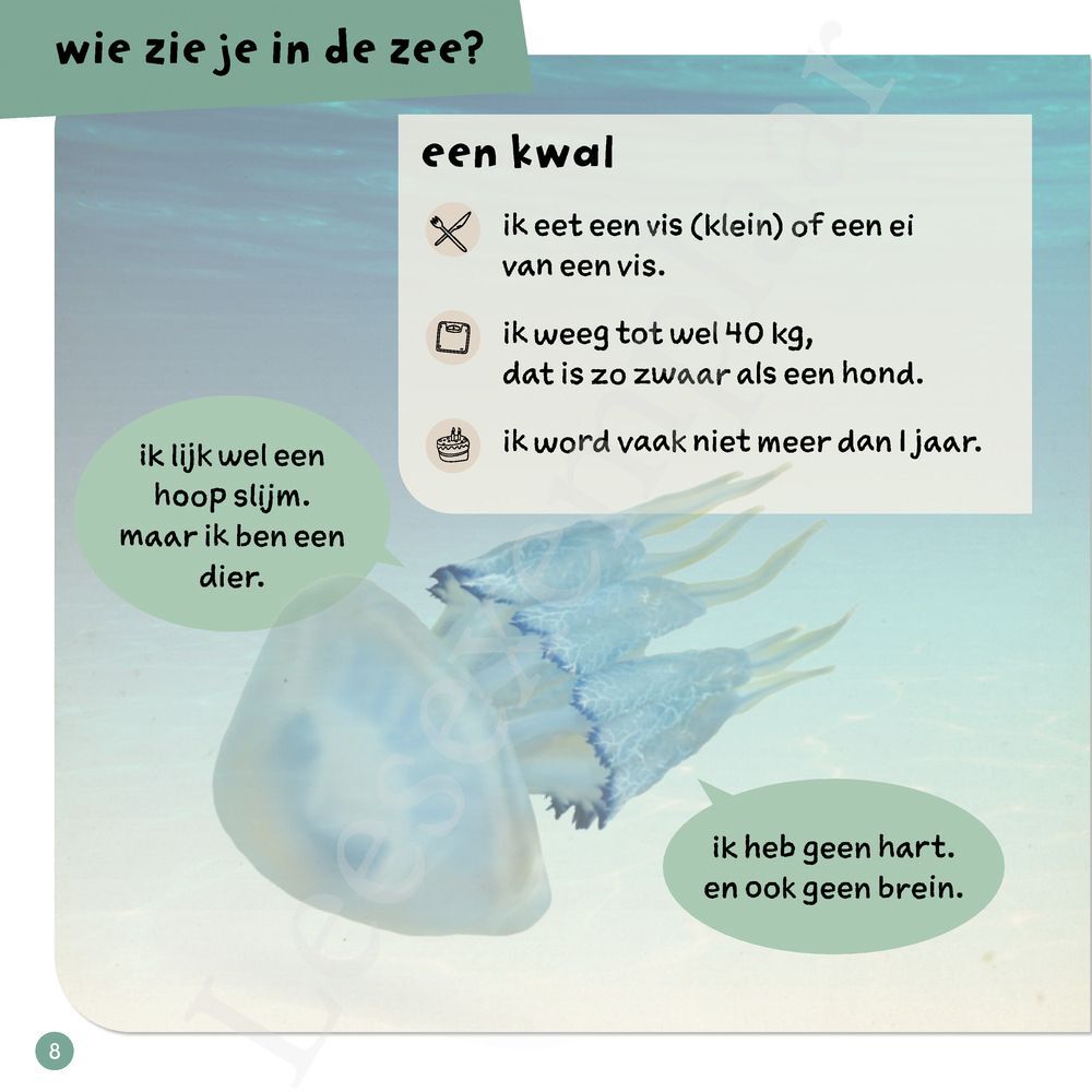 Preview: Ik weet, ik weet wat jij nog niet weet over... de dieren in de zee