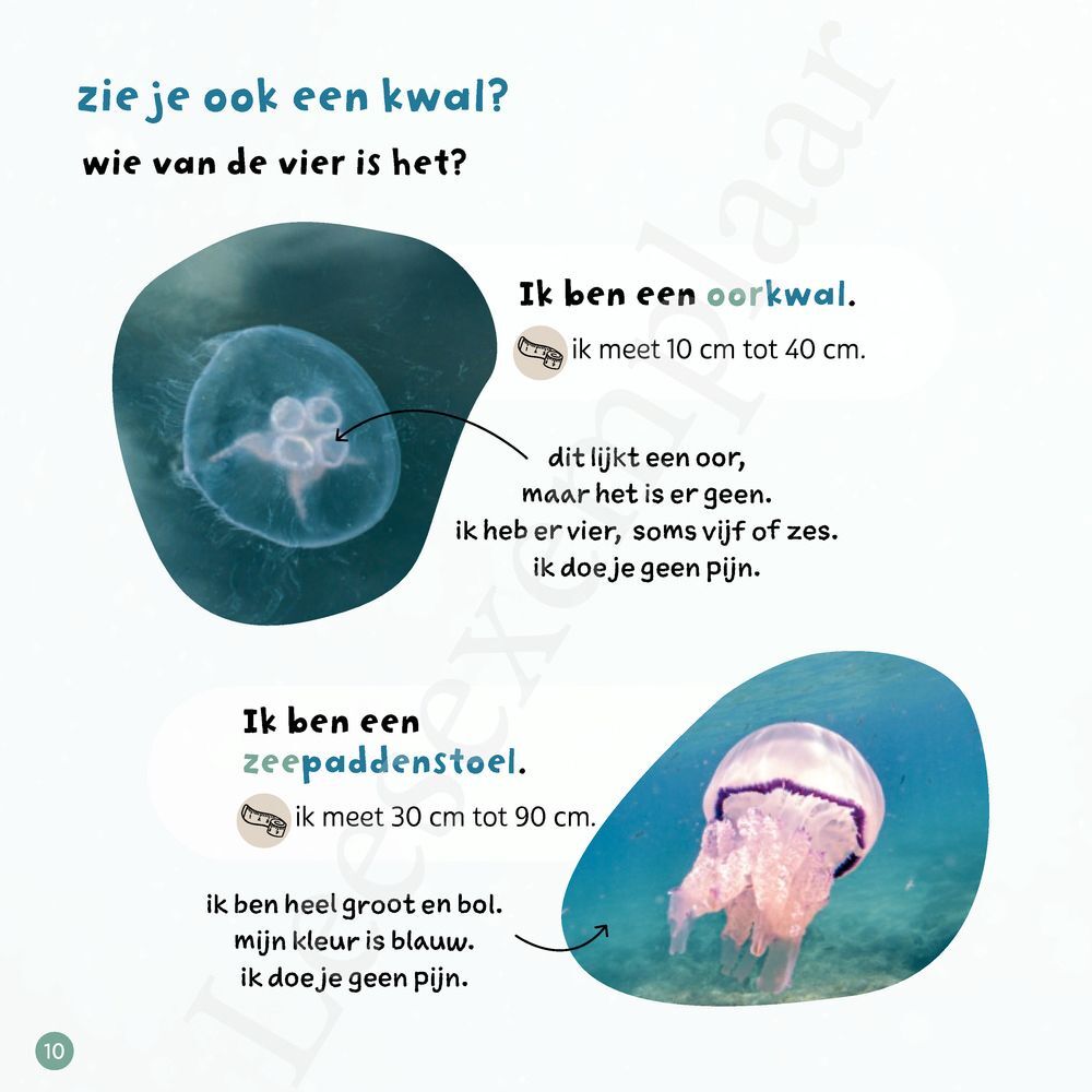 Preview: Ik weet, ik weet wat jij nog niet weet over... de dieren in de zee