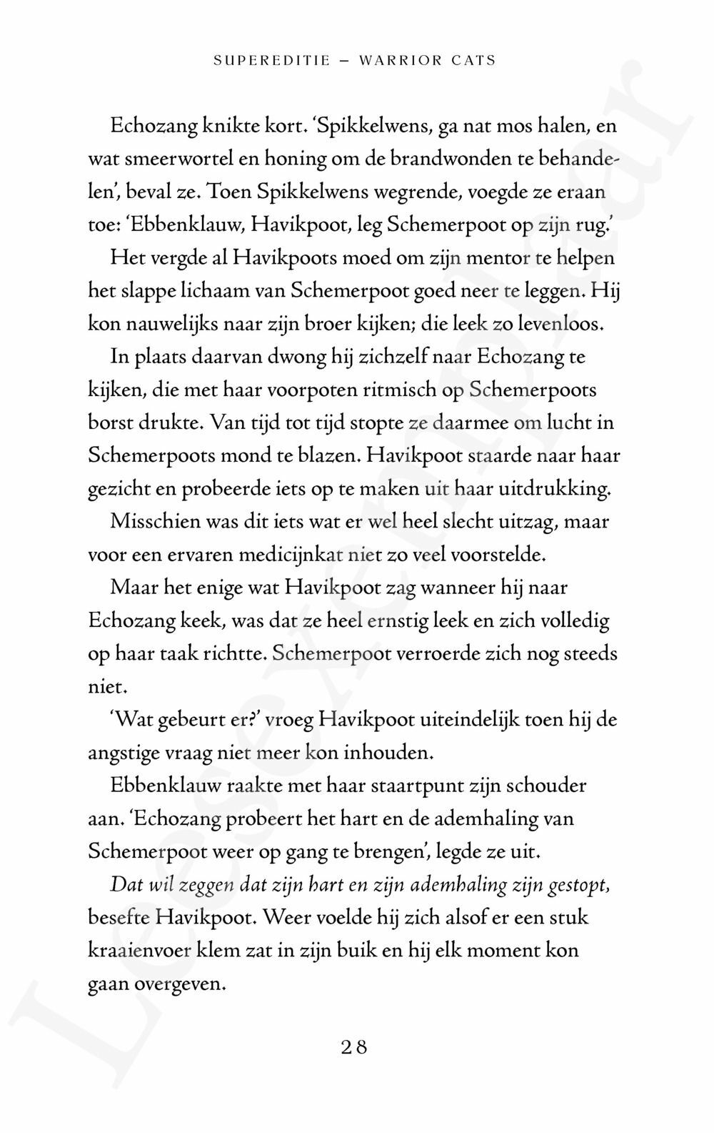 Preview: Warrior Cats - Supereditie: Havikvleugels reis