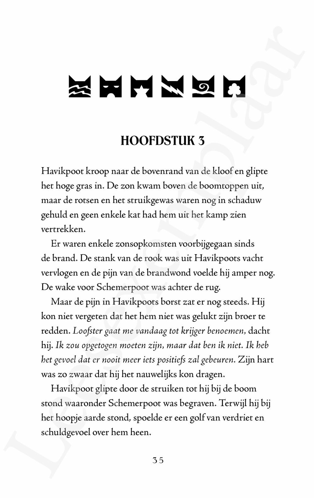 Preview: Warrior Cats - Supereditie: Havikvleugels reis