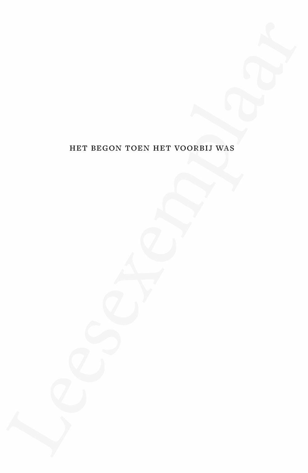 Preview: Het begon toen het voorbij was