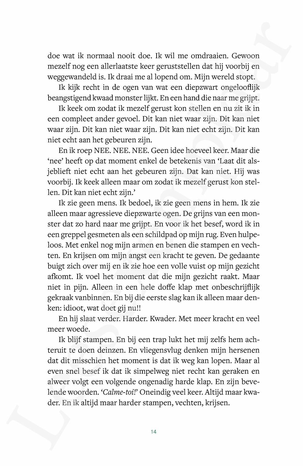 Preview: Het begon toen het voorbij was