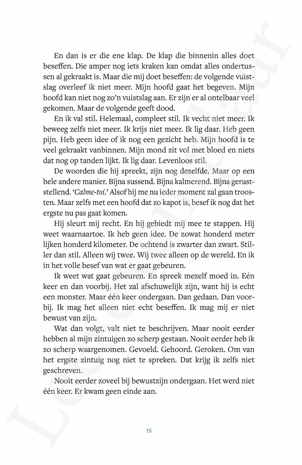 Preview: Het begon toen het voorbij was