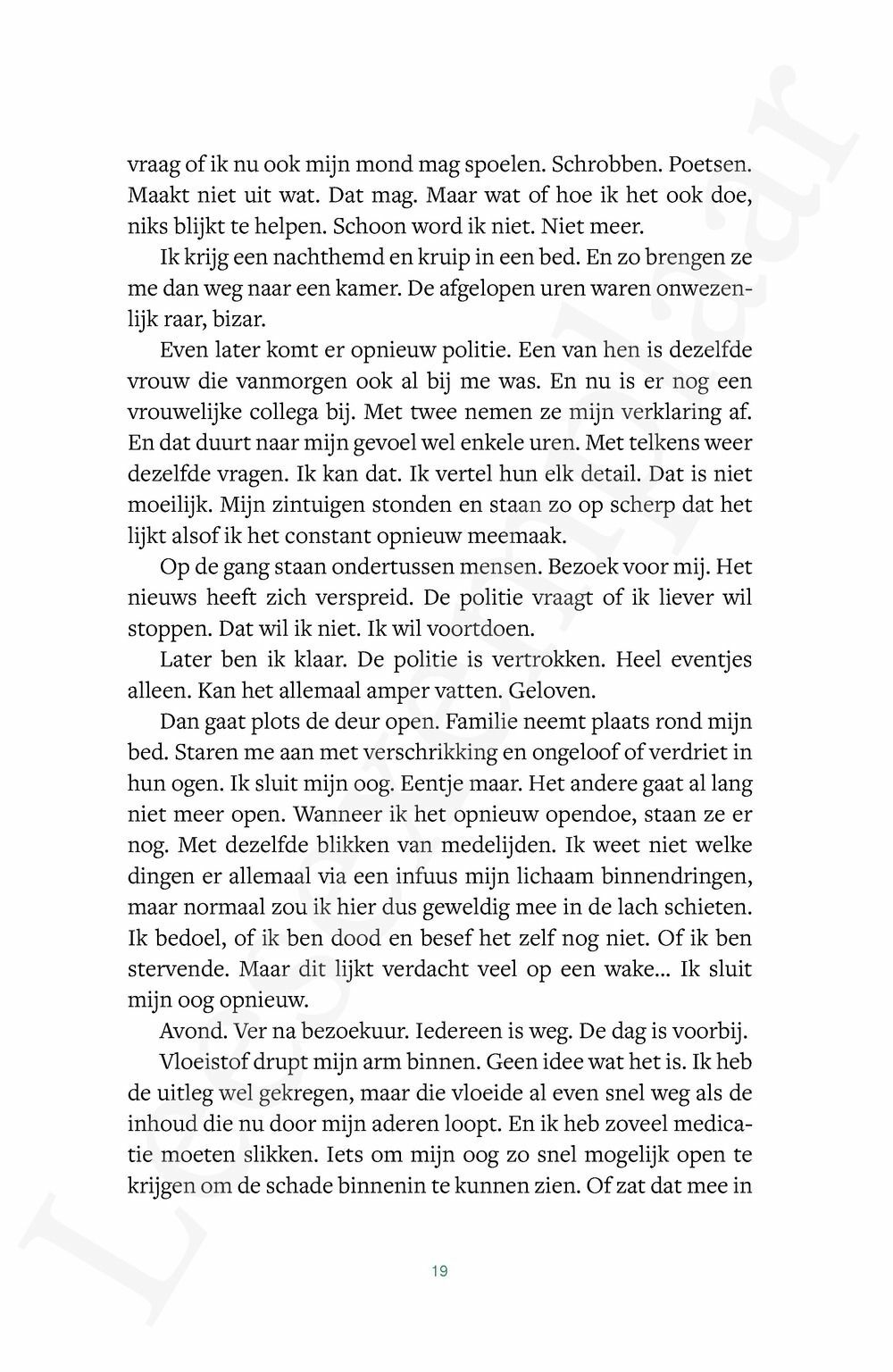 Preview: Het begon toen het voorbij was