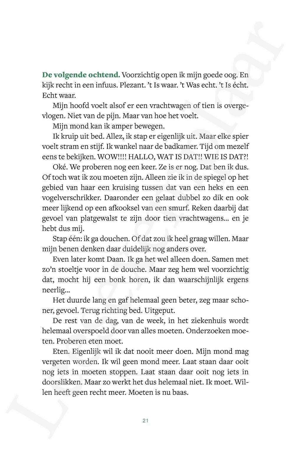 Preview: Het begon toen het voorbij was