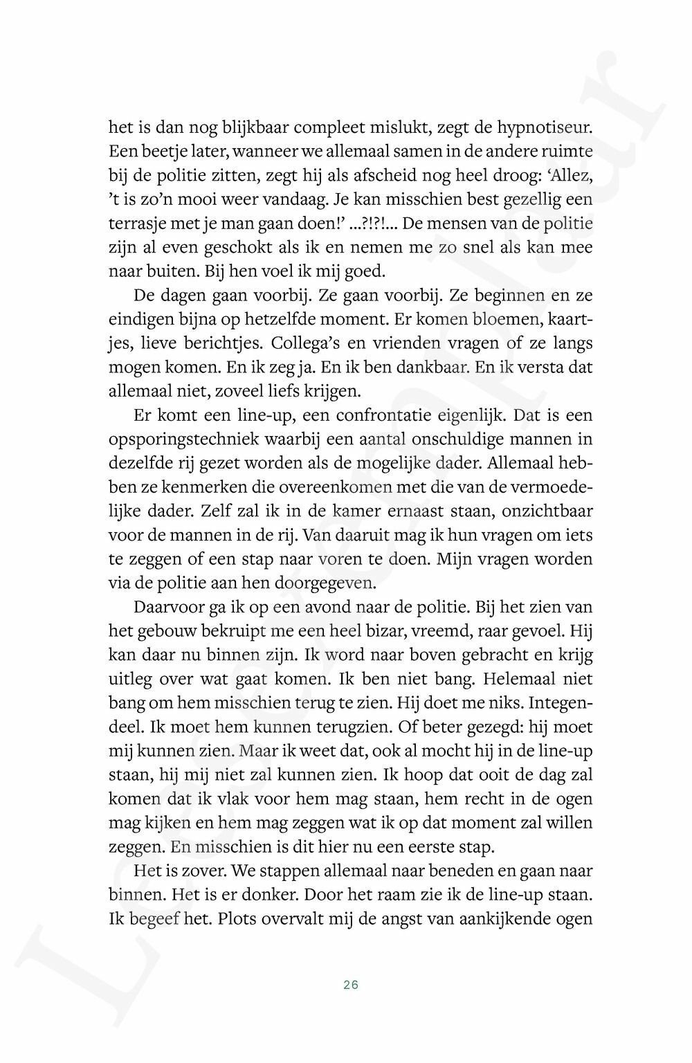 Preview: Het begon toen het voorbij was