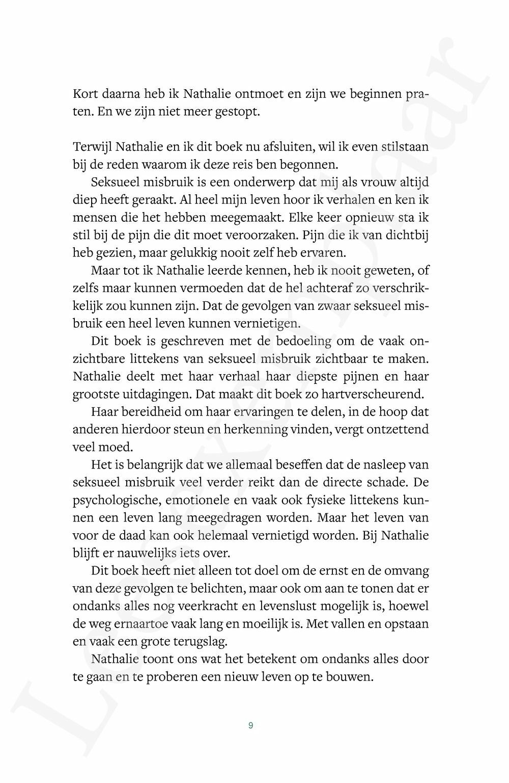 Preview: Het begon toen het voorbij was