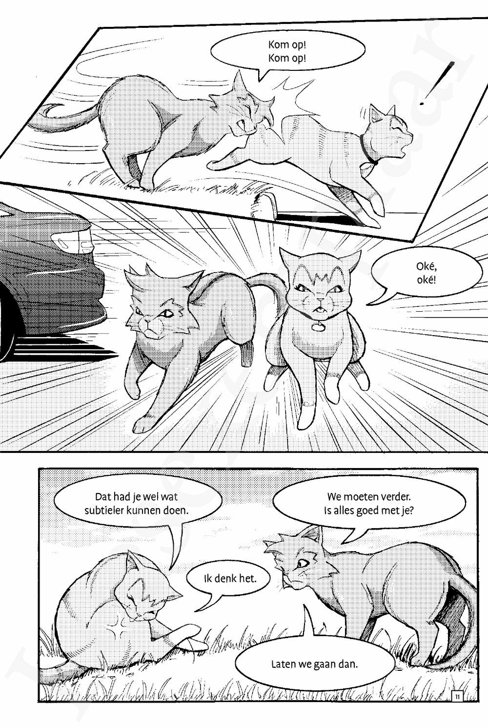 Preview: Warrior Cats - Manga: Toevluchtsoord voor krijgers