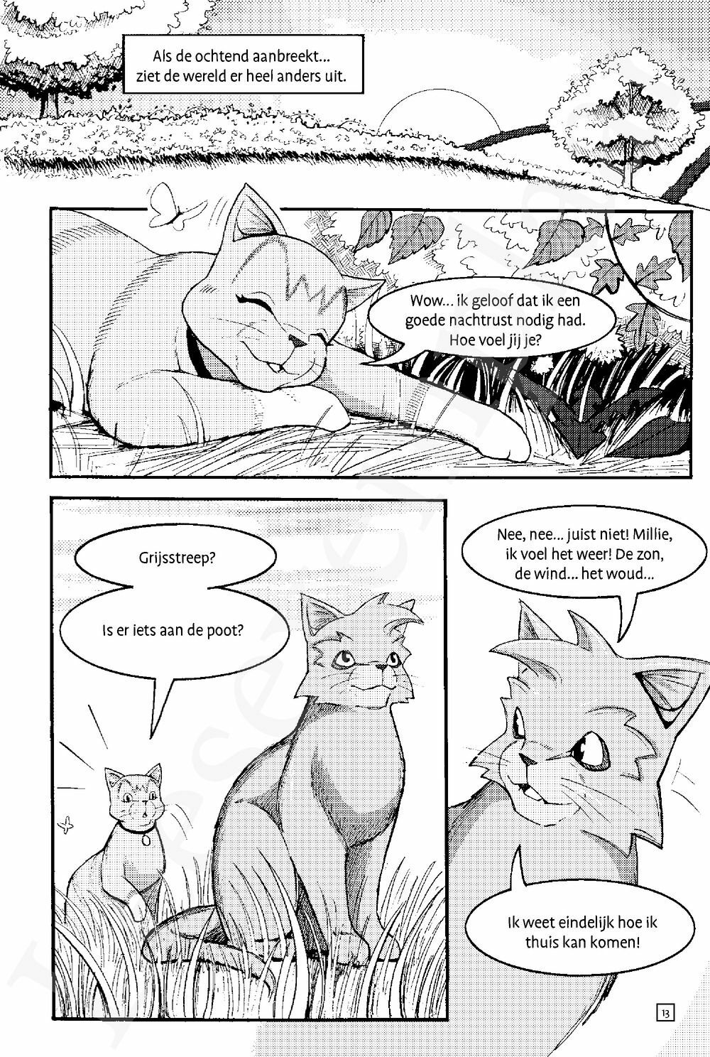 Preview: Warrior Cats - Manga: Toevluchtsoord voor krijgers