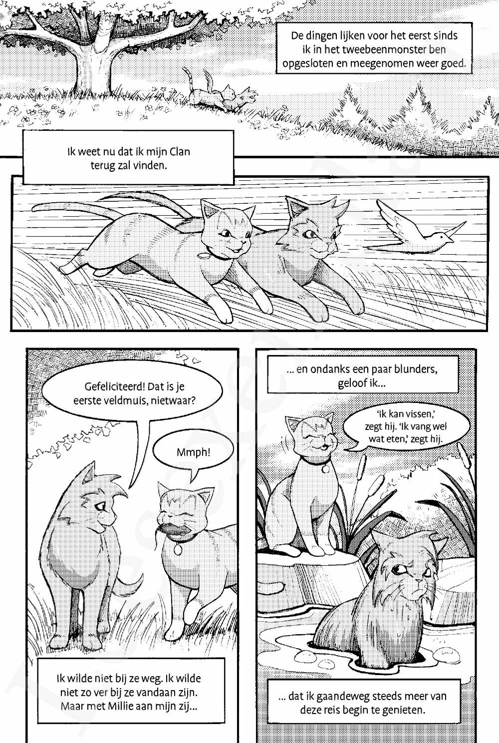 Preview: Warrior Cats - Manga: Toevluchtsoord voor krijgers