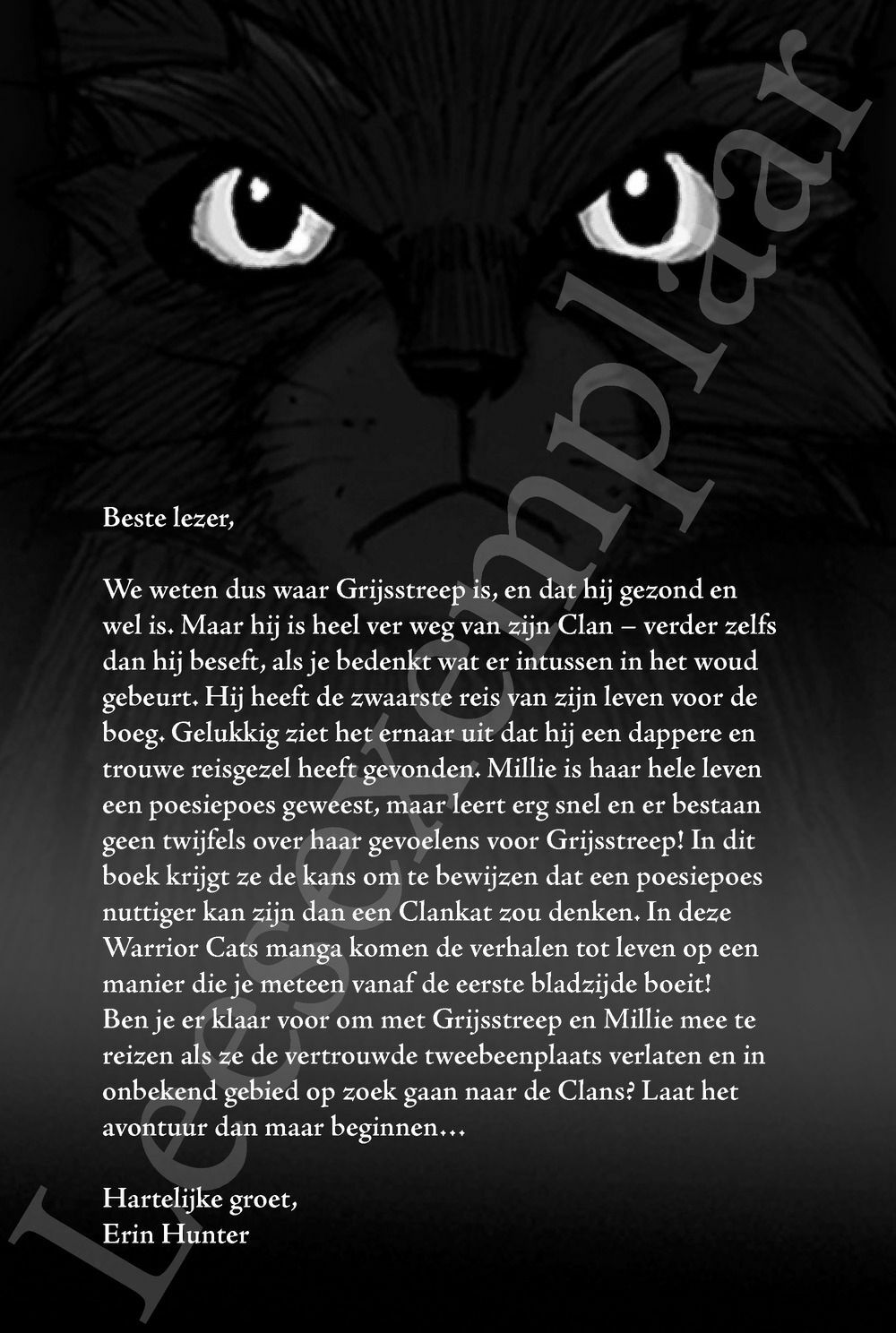 Preview: Warrior Cats - Manga: Toevluchtsoord voor krijgers