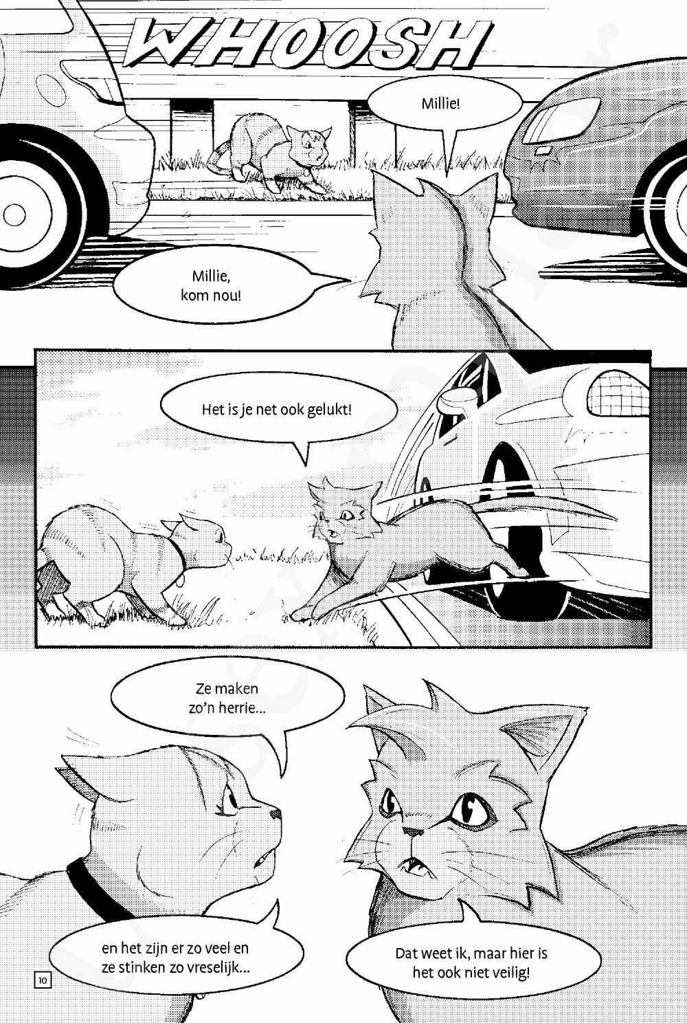 Preview: Warrior Cats - Manga: Toevluchtsoord voor krijgers
