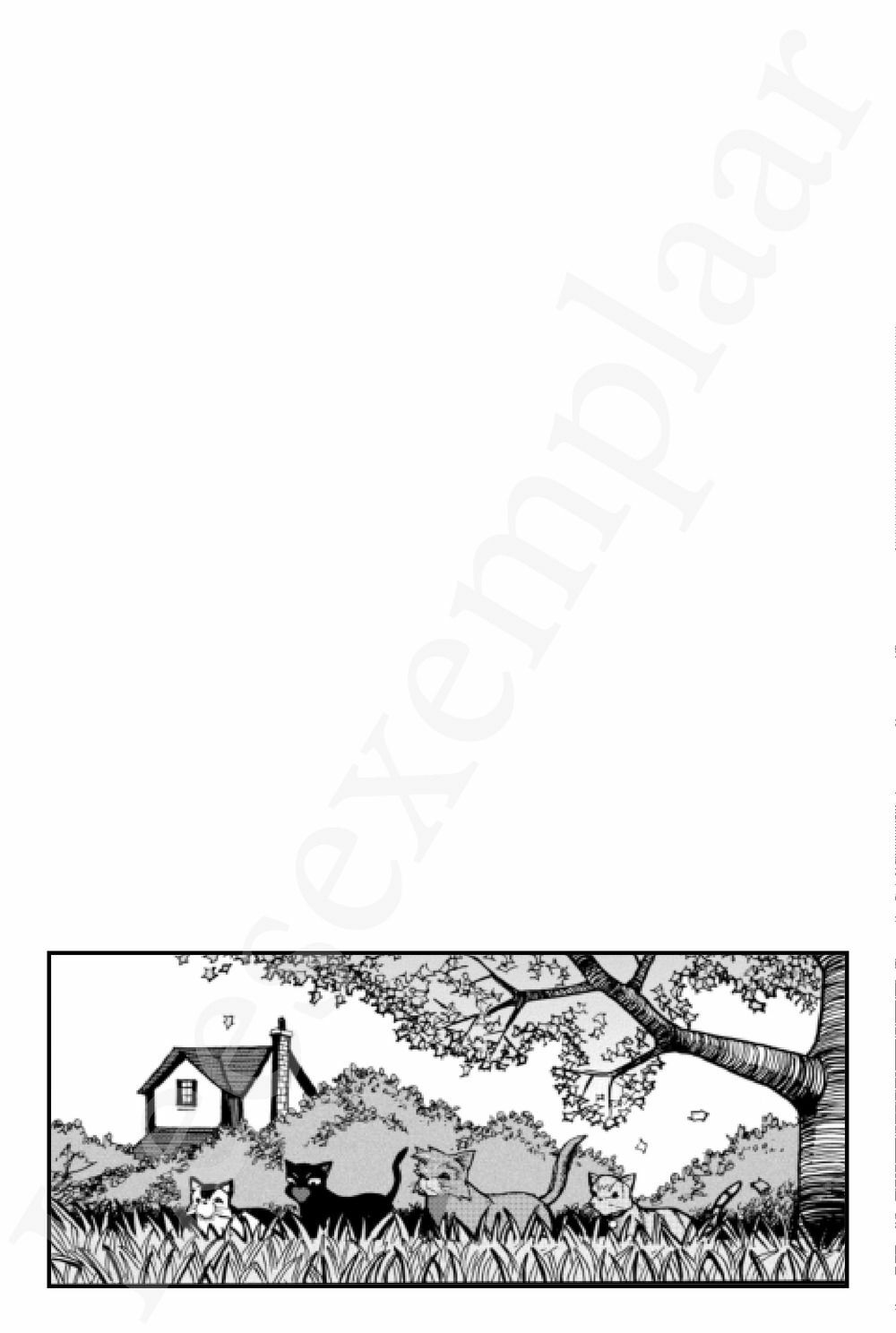 Preview: Warrior Cats - Manga: De terugkomst van de krijger