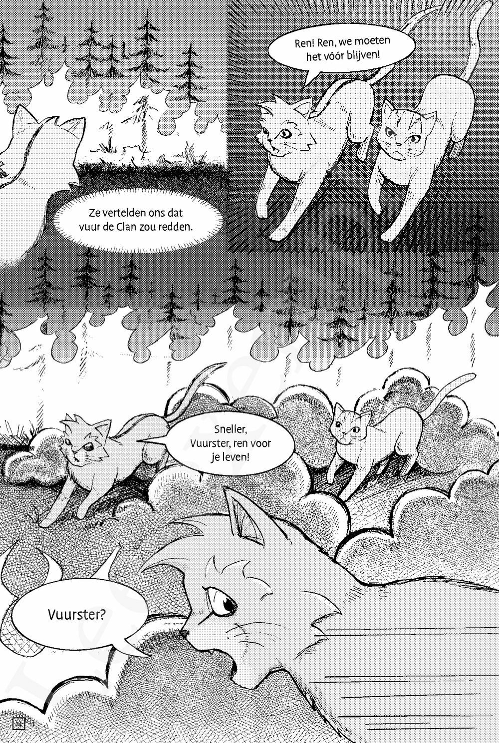Preview: Warrior Cats - Manga: De verloren krijger
