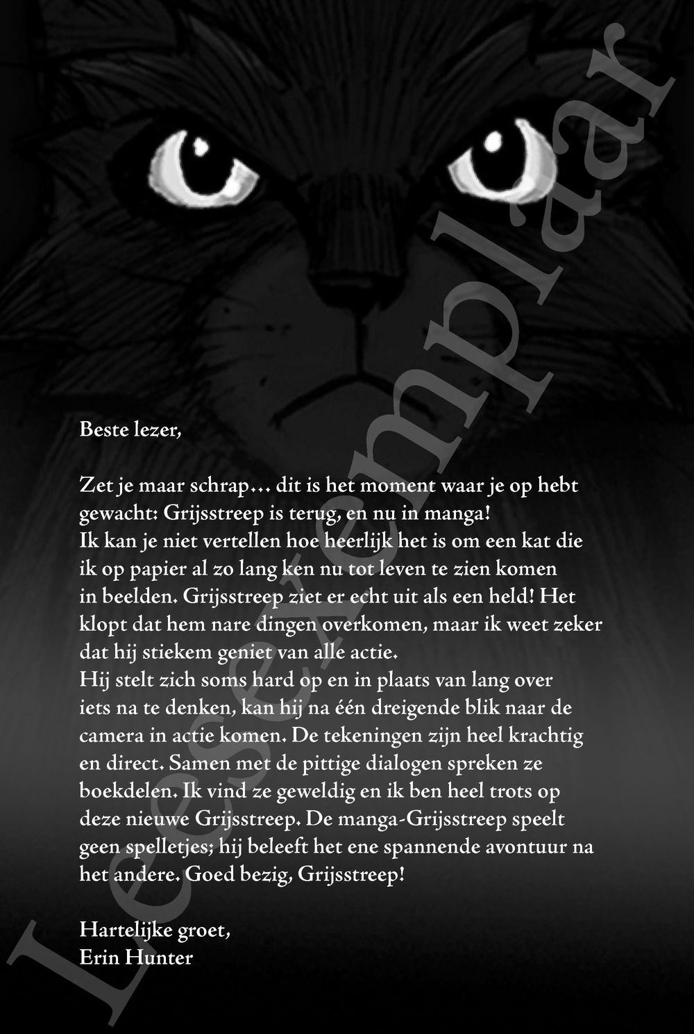 Preview: Warrior Cats - Manga: De verloren krijger
