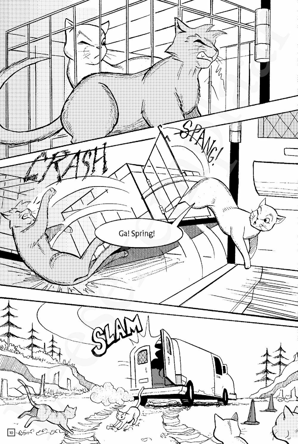 Preview: Warrior Cats - Manga: De verloren krijger